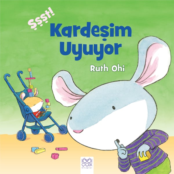 Lisinya Aktivite ve Zeka Gelişim Kitapları