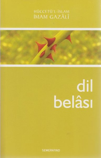 Lisinya Din Kitapları