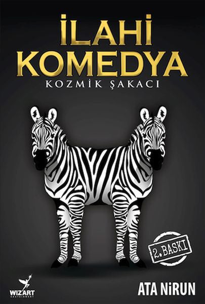Lisinya Roman Kitapları