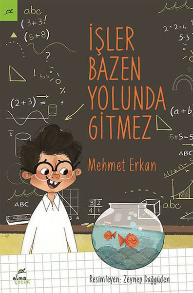 Lisinya Aktivite ve Zeka Gelişim Kitapları