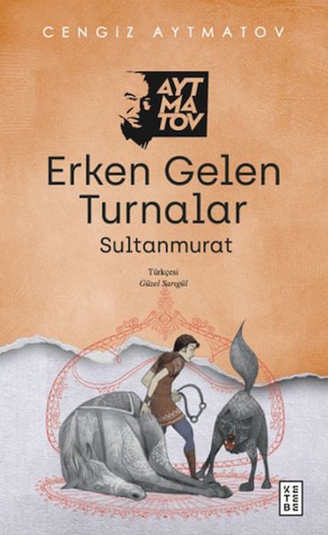 Lisinya Şiir Kitapları