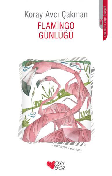 Lisinya Aktivite ve Zeka Gelişim Kitapları