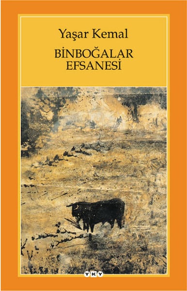 Lisinya Şiir Kitapları