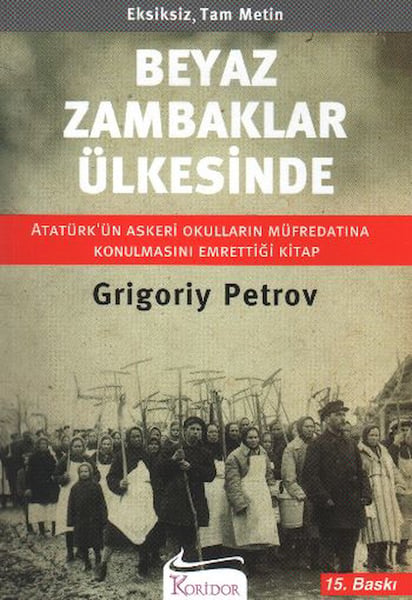 Lisinya Roman Kitapları