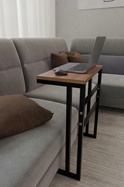Steel Design Laptop Sehpası