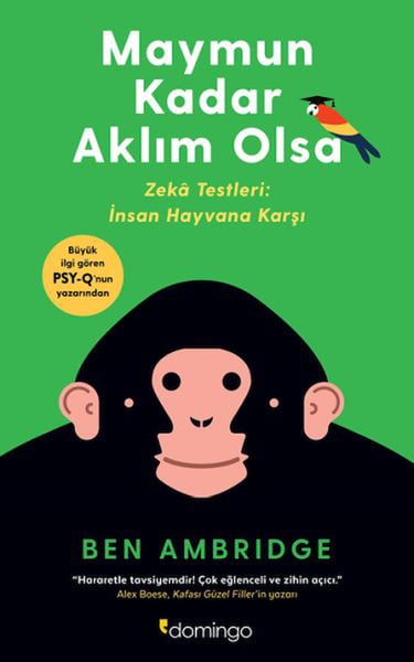 Lisinya Bilim ve Teknik Kitapları