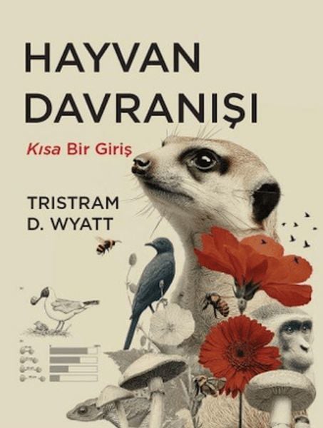 Lisinya Bilim ve Teknik Kitapları