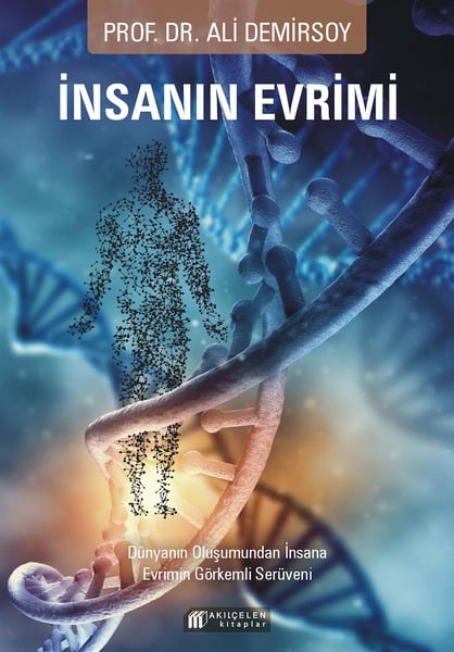 Lisinya Sanat ve Tasarım Kitapları