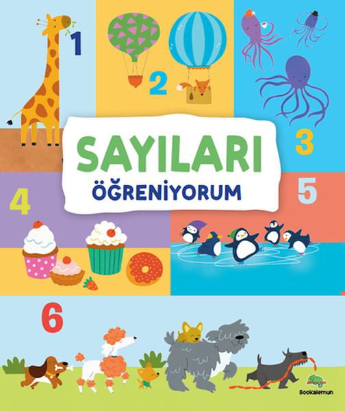 Lisinya Aktivite ve Zeka Gelişim Kitapları