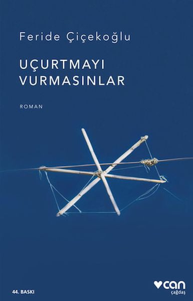 Lisinya Sanat ve Tasarım Kitapları