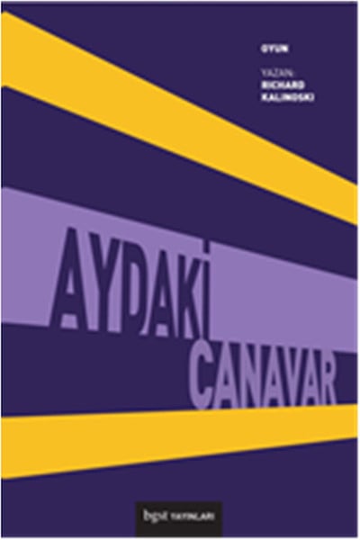 Lisinya Sanat ve Tasarım Kitapları
