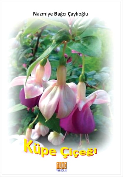 AKN Şiir Kitapları