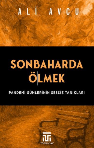 Lisinya Sosyoloji, Toplum Kitapları