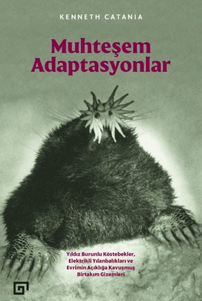 Lisinya Bilim ve Teknik Kitapları
