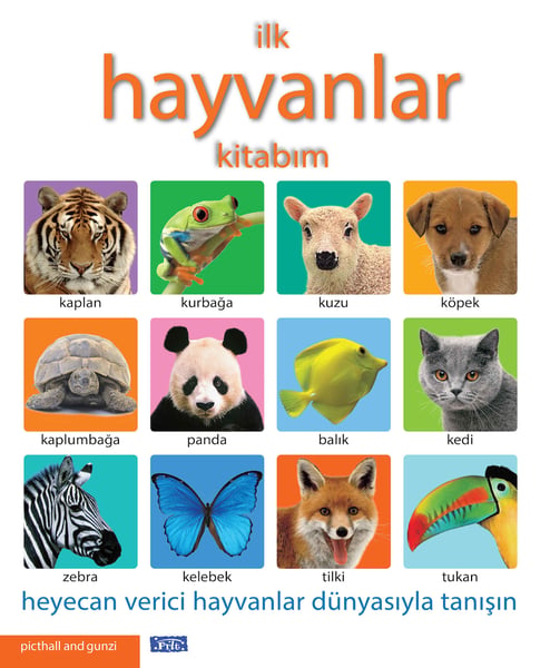 APARİM Aktivite ve Zeka Gelişim Kitapları