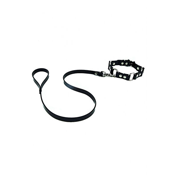 Narnuga Köpek Tasmaları