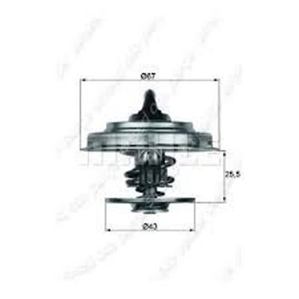 Mahle Termostat