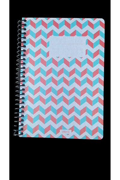 Colornote Papirüs Defter, Ajanda