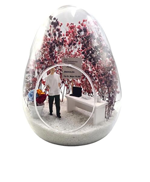 Maya Sanat Teraryum, Teraryum Aksesuarları