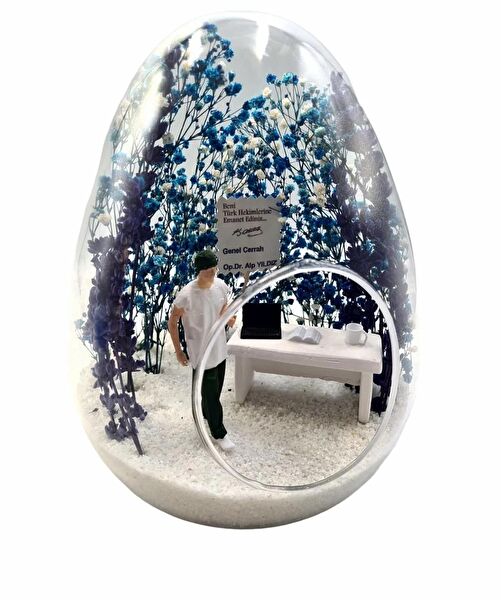 Maya Sanat Teraryum, Teraryum Aksesuarları