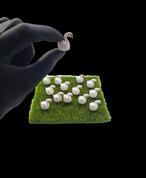 Maya Sanat Teraryum, Teraryum Aksesuarları