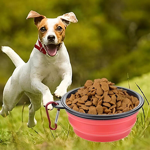 MBB E-Ticaret Köpek Mama ve Su Kapları