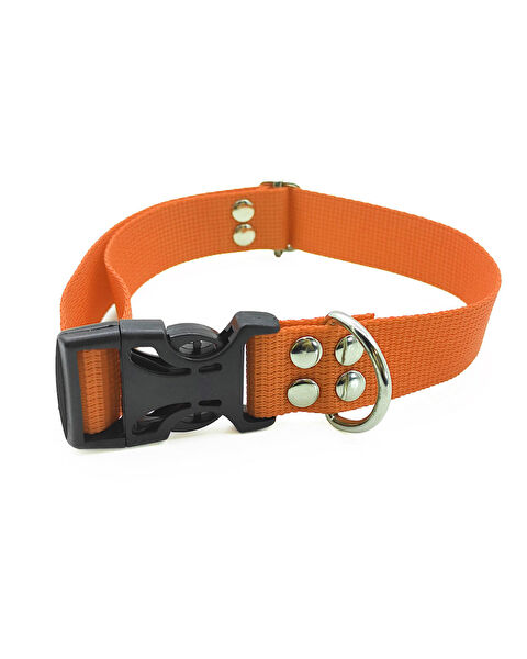 Farmena Köpek Tasmaları