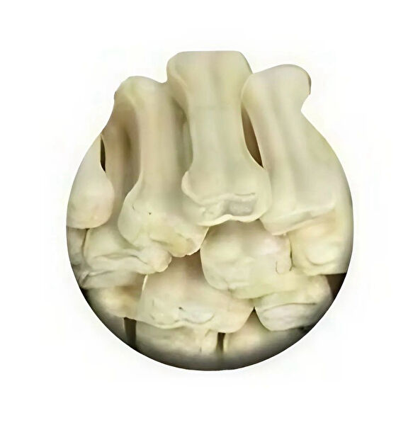 Miçiko Köpek Ödülleri