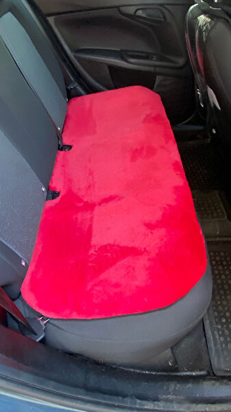 Oto Aksesuarcım Universal Oto Koltuk Kılıfı