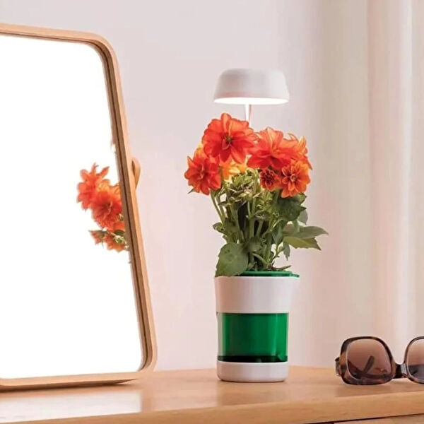 TTT Bitki Yetiştirme Kiti