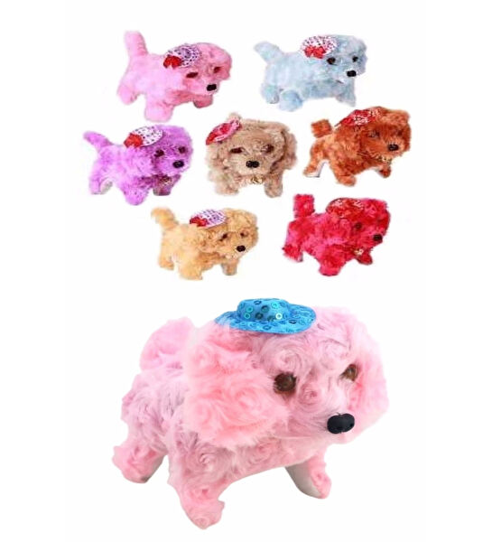 Modaliz Kedi Oyuncakları