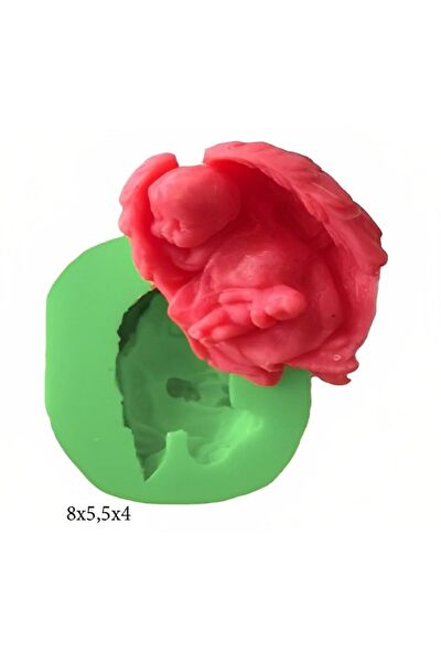 Butedo Kurabiye, Çikolata Kalıbı