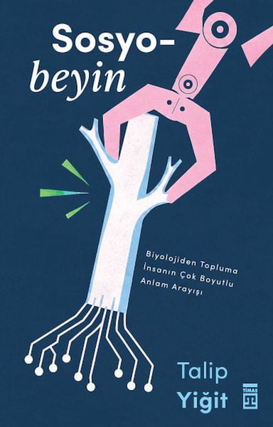 Mestore Bilim ve Teknik Kitapları