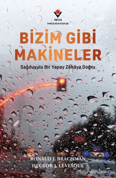 Mestore Roman Kitapları