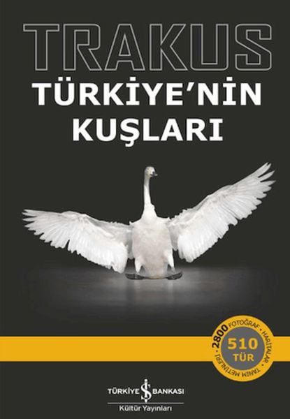 Mestore Turizm ve Gezi Kitapları