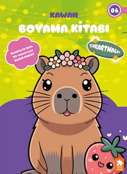 Mestore Boyama Kitapları
