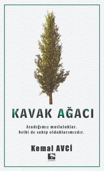 Mestore Roman Kitapları