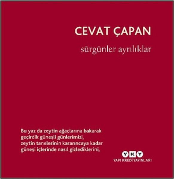 Mestore Roman Kitapları