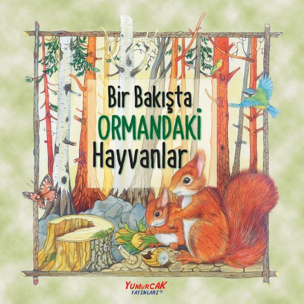 Mestore Bilim ve Teknik Kitapları