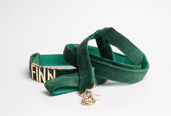 Pawsim Köpek Tasmaları