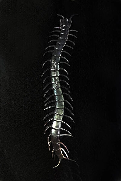 CEYLAN ADAM Hayvan Figürü