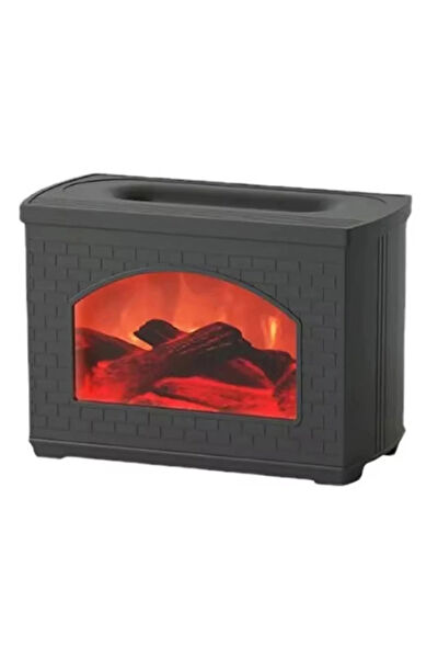 CEYLAN ADAM Hava Temizleme ve Nem Alma Cihazları