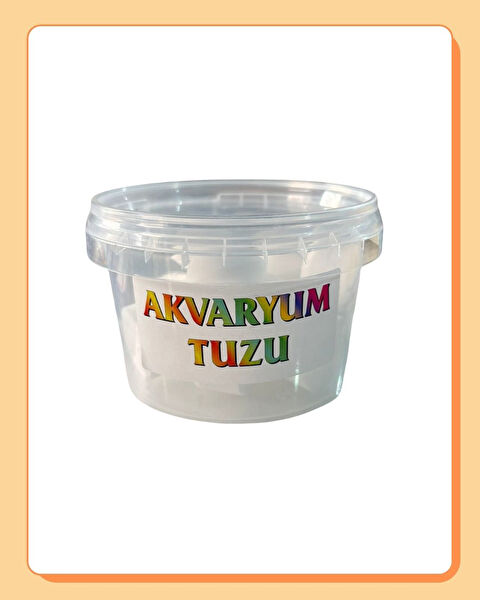 Miçiko Akvaryum Bakımı