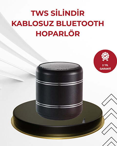 VINTESSY Ses Sistemleri, Hoparlörler