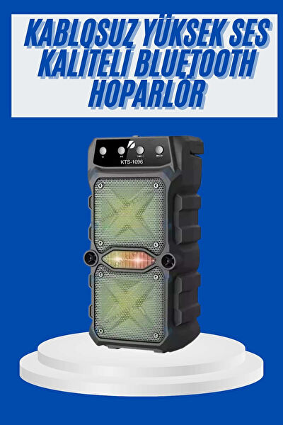 VINTESSY Ses Sistemleri, Hoparlörler