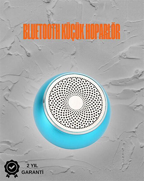 VINTESSY Ses Sistemleri, Hoparlörler