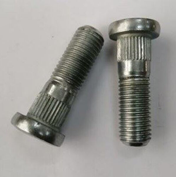 Monreal Bijon Somunu