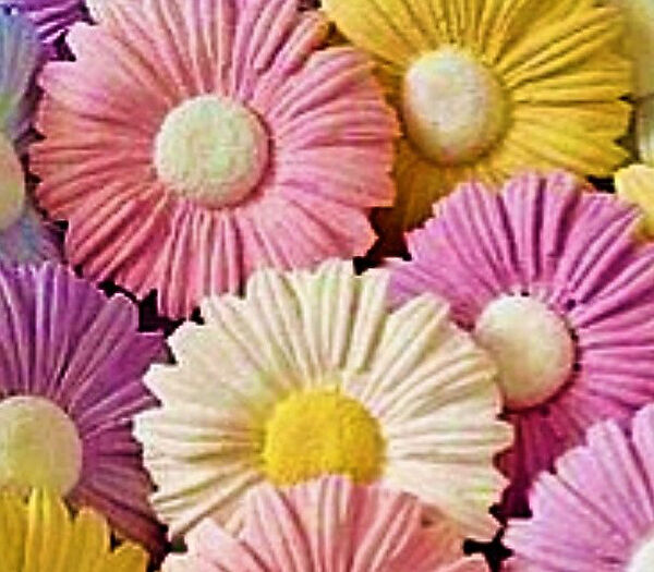 Morlalem Yardımcı Sanat Ürünleri