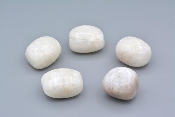 Murty99 Dekoratif Obje, Biblo, Figür