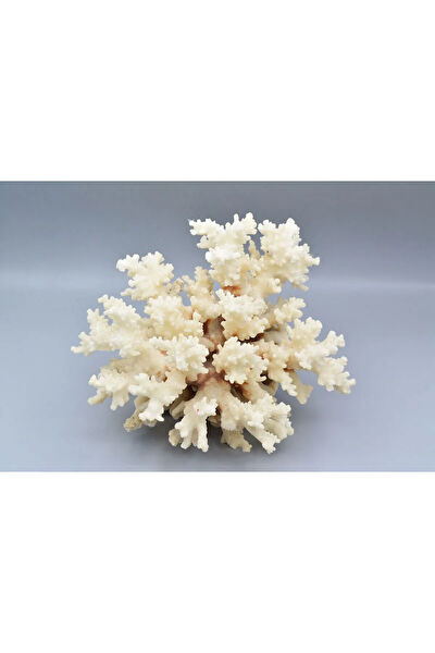 Murty99 Dekoratif Obje, Biblo, Figür